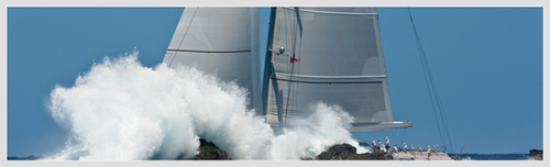 whitewavetrader's profile picture. 