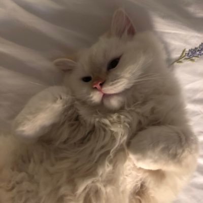 GatiKalliou's profile picture. 