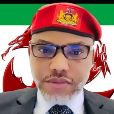 switNcool's profile picture. Independent activist, advocate of human freedom and peace for mankind. Here for Trump & Biafra.