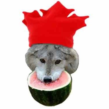 MyDogAteMyCar1's profile picture. 21 y/o 🇹🇭/🇨🇦
My Twitter for browsing artists and what not, as well as other stuff
