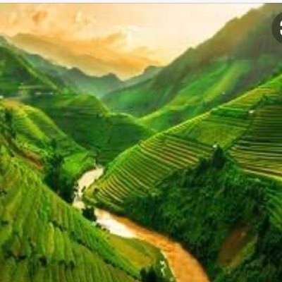 vintraders's profile picture. 