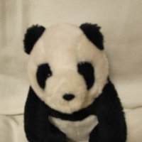 松沢蒼 (@jiraisen) 's Twitter Profile