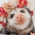 possumjams (@possumjams) Twitter profile photo possumjams (@possumjams) Twitter profile photo
