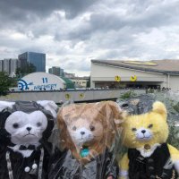 Bee🐝@🇬🇧 (@beew43791036) 's Twitter Profile