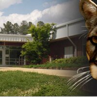 Carroll Middle (@carrollmiddle) 's Twitter Profile