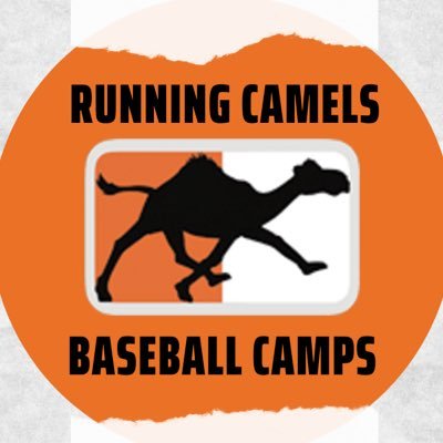 Official Twitter for @GoCamelsBSB Camps  | 2013, 2014, 2018, 2019, 2021, 2022 Big South Champions. 2018, 2019, 2021, 2022 NCAA Regional Appearances.