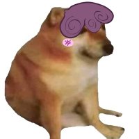Bella The Maned Poodle (@itzbellathedog) 's Twitter Profile Photo Bella The Maned Poodle (@itzbellathedog) 's Twitter Profile Photo