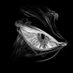 TRance (@tranceturk) Twitter profile photo TRance (@tranceturk) Twitter profile photo