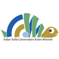 Indian Turtle Conservation Action Network - ITCAN(@IndianItcan) 's Twitter Profile Photo