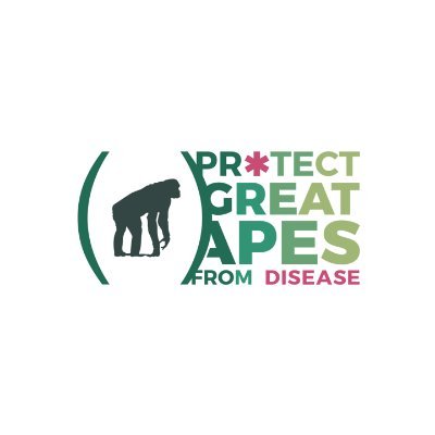 Freely available tourist education and guide training materials to protect chimpanzees, gorillas, bonobos and people from disease at wild great ape sites 🦠😷🦍