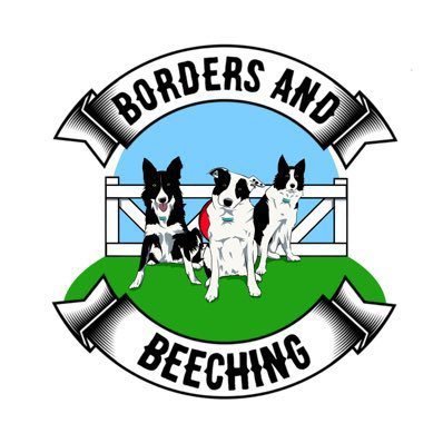 bordersbeeching Profile Picture