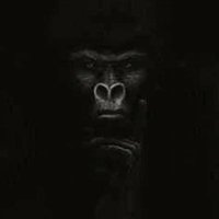 Phalo Mhut (@phalomhut) 's Twitter Profile