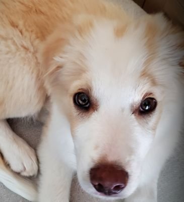 berbettetweets's profile picture. 