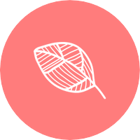 Grace And Care (@grace_and_care) 's Twitter Profile Photo