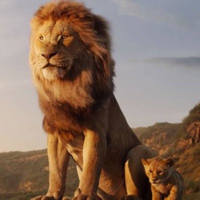 gauryangaurav's profile picture. In a world of worriers, be a warrior👍