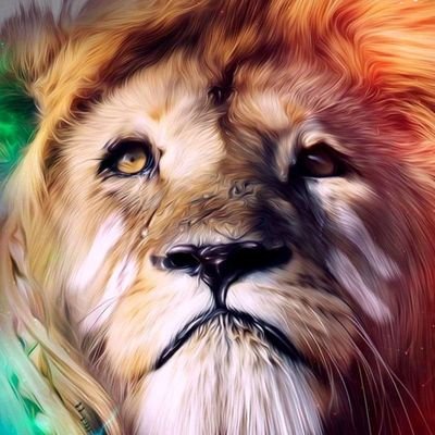 Hamza53165218's profile picture. 