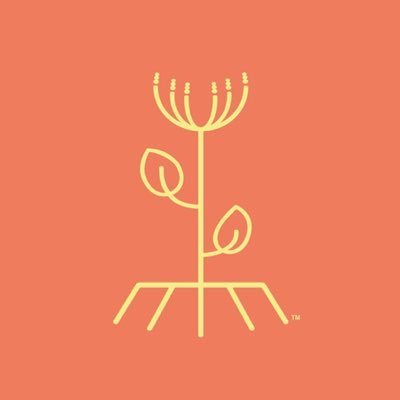 StandingLand's profile picture. Clinical Herbalist