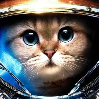 Can you hear the cat say...
Even cats should go to space once in a while!
#BTC #LTC Nothing else matters!