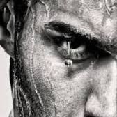 رجل حر (@free___man__) Twitter profile photo