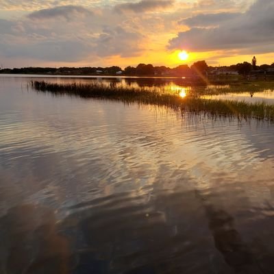 FLn00b's profile picture. 