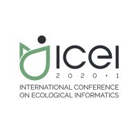 ICEI 2020 +1 (@iceiconf) Twitter profile photo