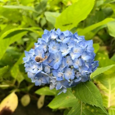 このままじゃだめだ!人生を一から全て変えようと決心しました。世界も常識もこの世のものすべて真理と愛によって変わりますように。 【rapt理論+α】https://t.co/KTPF9NuuN4