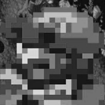 Geno (Archived)さんのプロフィール画像
