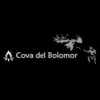 Cova del Bolomor (@covabolomor) 's Twitter Profile