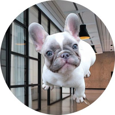 French https://t.co/Udnb1qYnfj of Twitter🐶
Follow Us For Daily Cuteness🐕 @frenchbulldog.dm #frenchbulldogdm
📩 DM us for Feature 🐕
🛍️
French BullDog lovers👇🏻