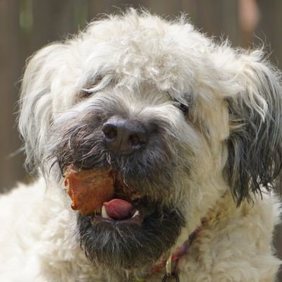 PosterizedI's profile picture. 