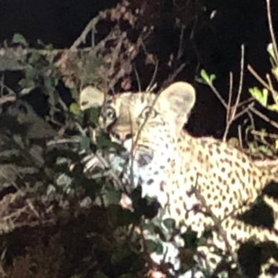 mu17758998's profile picture. 