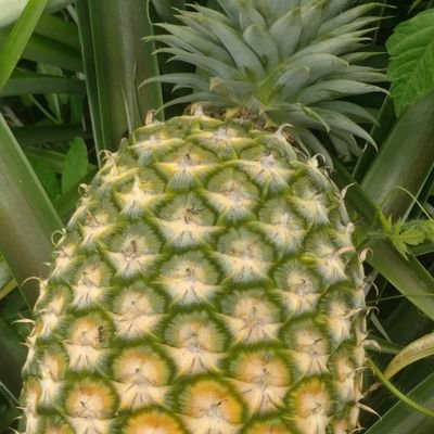 LKA57086297's profile picture. 