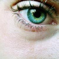 NovaStrike1's profile picture. el sueño debe terminar