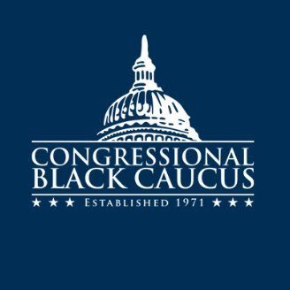 TheBlackCaucus Profile Picture