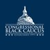 The Black Caucus (@TheBlackCaucus) Twitter profile photo
