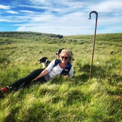 Scottish hill and lowland young farmer with a mini shepherd in tow 🏴󠁧󠁢󠁳󠁣󠁴󠁿