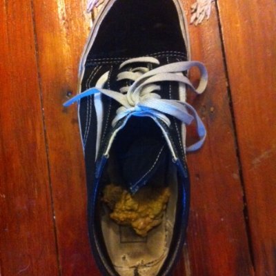 poet / Hiding Press / bookseller -- waxpapermark on bluesky -- FREE PALESTINE

profile pic of my shoe, in which our dear cat Walker (RIP) puked one morning...