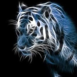 IlhamMDF's profile picture. 