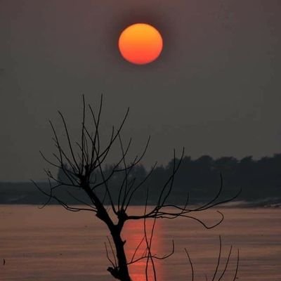 Sagor73Sagor's profile picture. I'm a simple boy...