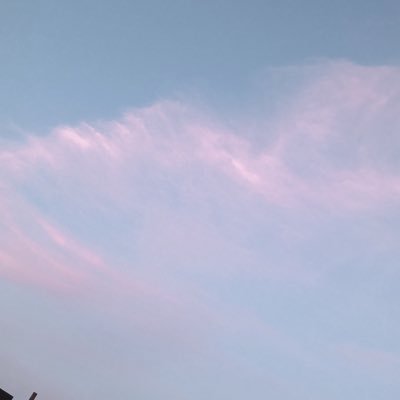 しろさき_shiroさんのプロフィール画像
