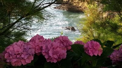 MounierLucienne's profile picture. 