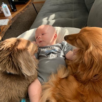 the_weenqueen's profile picture. 🌿🍄🌻 Stay Wild • Ambassador for @awakethesoulclo & @tentree