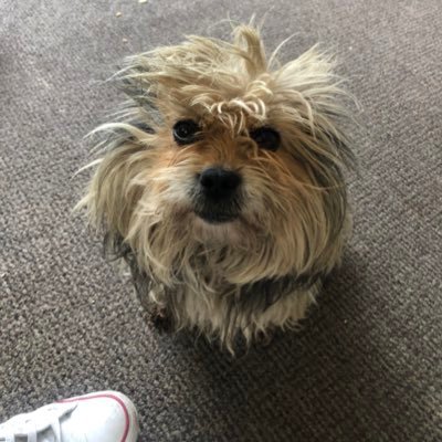 TonyCoffey15's profile picture. husband father grandad son brother, I'm a gypsy if that's a problem don't follow me, if you don’t like what I tweet then please feel free to unfollow, no DMs