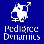 A Thoroughbred consultancy and bloodstock agency founded on pedigree analysis techniques and a proven success rate over 30 years.