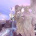 jules 🐚 (@canyonjool) Twitter profile photo jules 🐚 (@canyonjool) Twitter profile photo