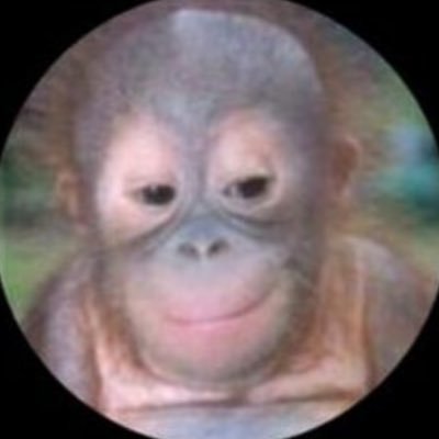 ali_avant's profile picture. 