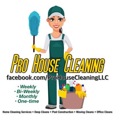 A Higher Standard of Clean ✨ #ProfessionalHouseCleaning
