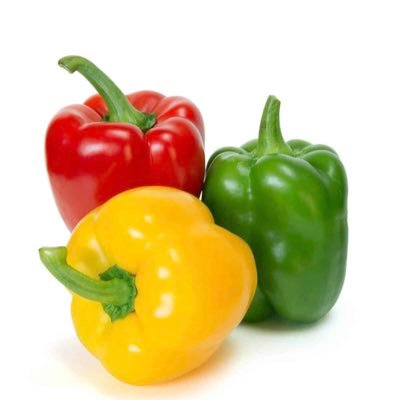 The bell peppers & business newsletter is specifically for business owners. The monthly subscription consists of news and wins from the business members.