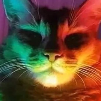 elsinnombre96's profile picture. 