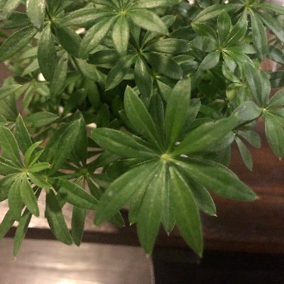 NY2Ind's profile picture. 